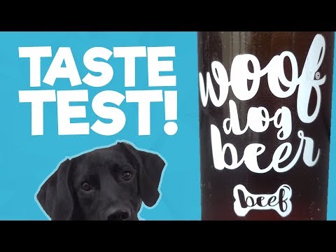 Woof Dog Beer - Buddy The Borador Taste Test
