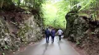 Fussen, Germany - The Fairytale Castles