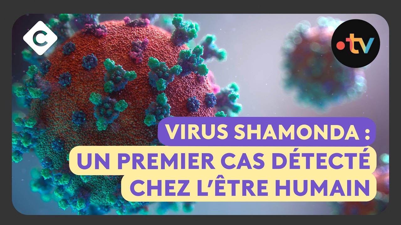Virus Shamonda : comment se transmet-il ?