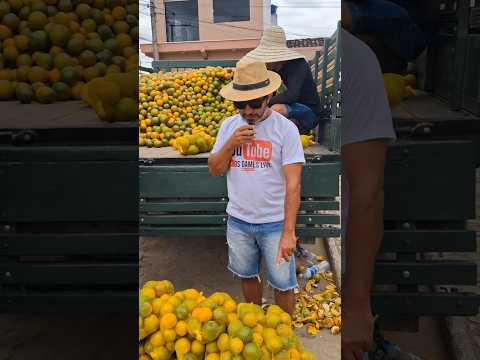 FEIRA LIVRE DE UMBUZEIRO MUNICÍPIO DE MUNDO NOVO BA.