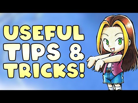 20 Tips & Tricks to Get Started in Harvest Moon 64!