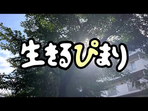 生きるぴまり〜ぴまりちょう編〜