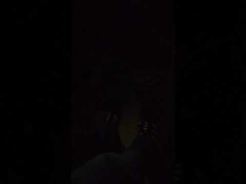 Nuovo Coro "Siam la Curva Nord Milano" - Settore Ospiti Bologna - Inter 2019.02.11