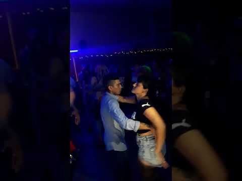 Los bembones en los pinares