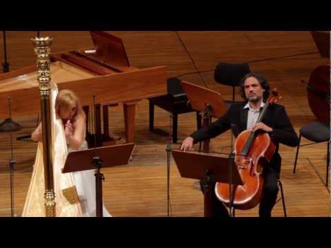 MAX BRUCH : KOL NIDREI op. 47 for cello and harp - JIRI BARTA (cello) & JANA BOUSKOVA (harp),