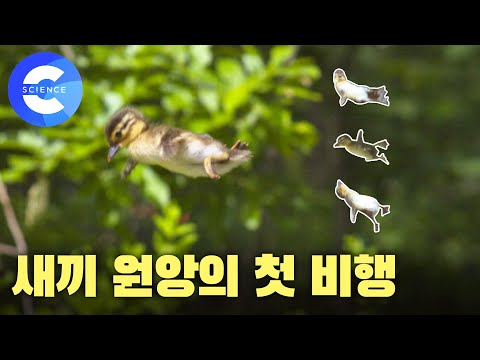 아이콘