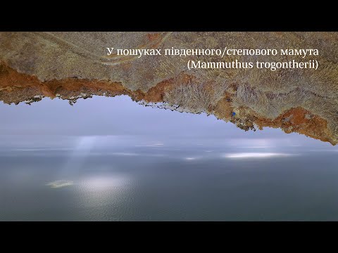 2019 11 17 — South secretive mammoth