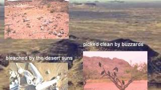 THE SHIFTING, WHISPERING  SANDS