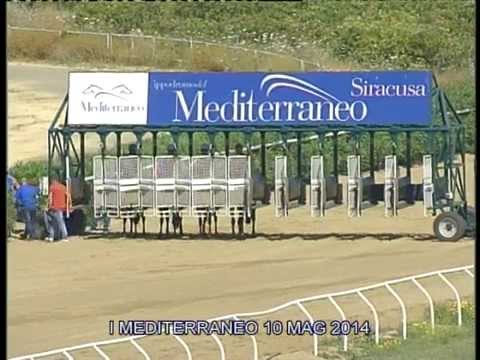 Galoppo Corse 10 Maggio 2014