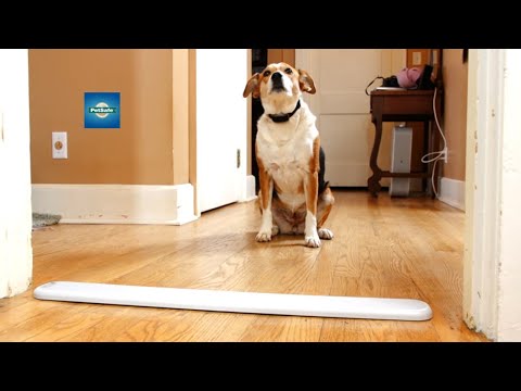 PetSafe Pawz Away Threshold Pet Barrier