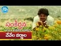 Sankeerthana Movie Vevela Varnala Video Song Nagarjuna Ramya Krishna Ilayaraja