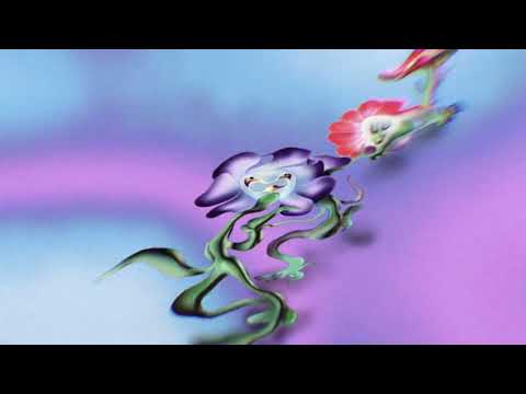 Video thumbnail for Shoot Me a Smile