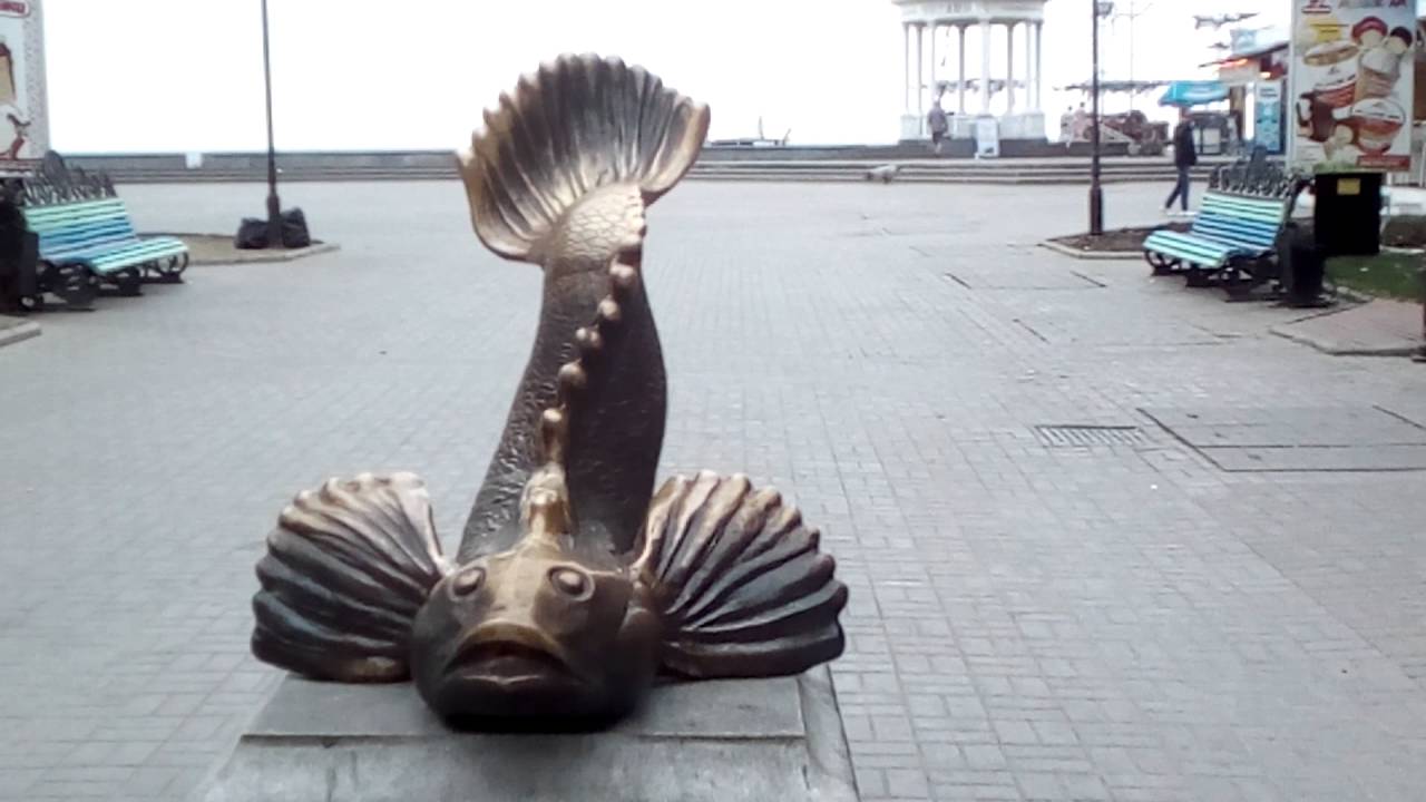 Полезное видео