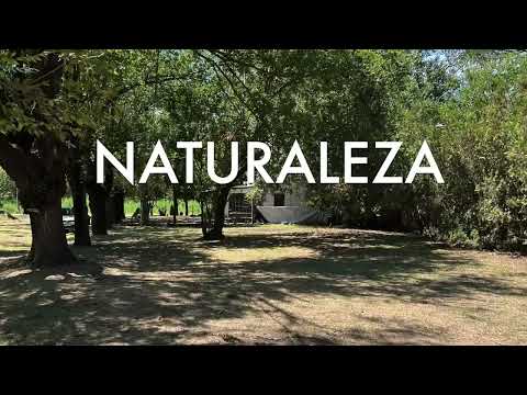 Land for Sale in Argentina: 420sqm Lot in Correa, Santa Fe | Immediate Deed & Utilities