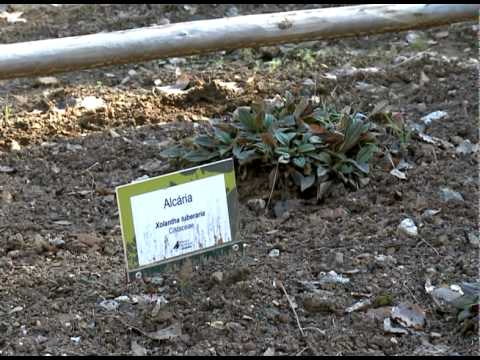 A Festa é Nossa - Vinhais - Roteiro Turístico