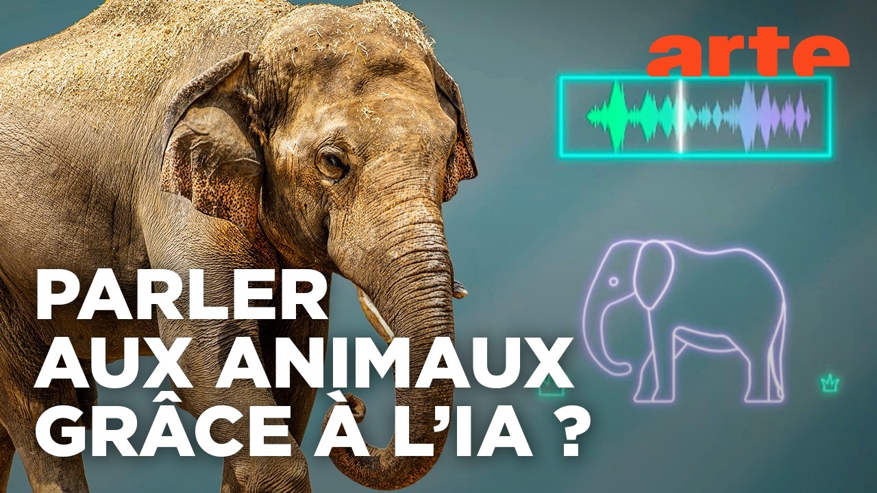 La communication animale | Le futur en face | ARTE