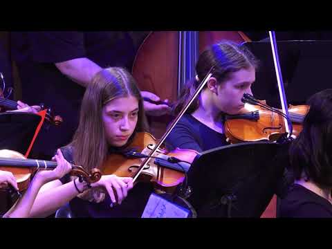 Pieces of Eight: A Pirate's Jig - Meyer, Eltham High School Intermediate Strings