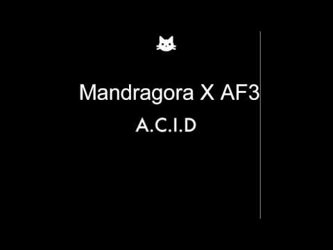 Mandragora X AF3 - A.C.I.D