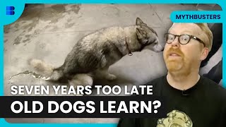 Can You Really Teach Old Dogs New Tricks | MythBusters