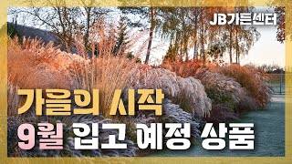 여러분들의 풍족한 가을정원을 위해 9월  16일 입고 예정 상품 소개! 가을이 찾아왔습니다 [JB가든센터_대…