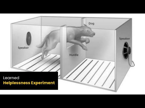 Learned Helplessness Experiment | Martin Seligman | Cognitive Dissonance Experiment | Online Docs