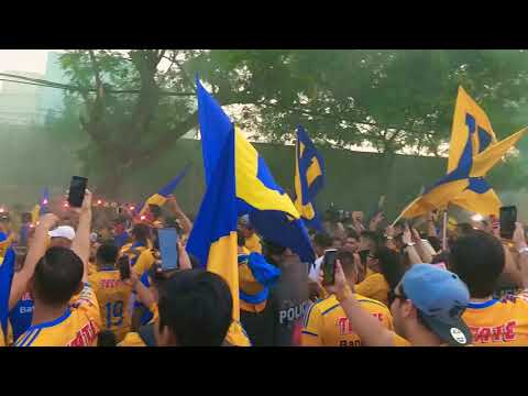 "Hinchada de Tigres previo al clasico 117 | Tigres vs Monterrey  #clásico117" Barra: Libres y Lokos &bull; Club: Tigres