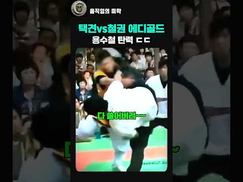 현실판 철권 에디골드 vs 택견 발차기 #taekkyeon