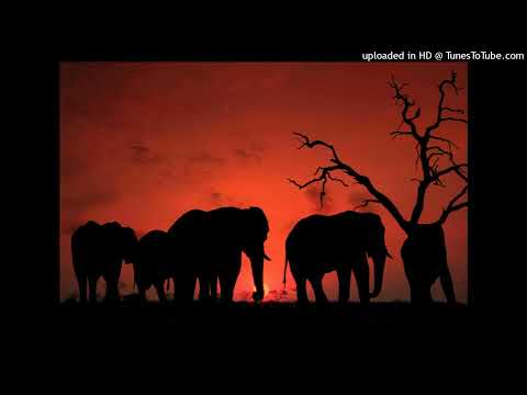 Pex Africah feat. Zulu, Buckz - Samatapayapa