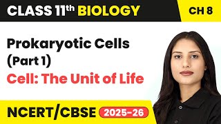 Prokaryotic Cells (Part 1) - Cell: The Unit of Life | Class 11 Biology Chapter 8 | CBSE 2024-25