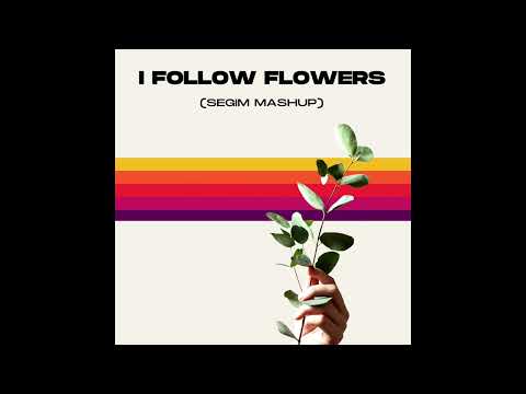 Miley Cyrus Vs. Lykke li - Flowers Vs. I Follow Rivers (SEGIM Mashup)