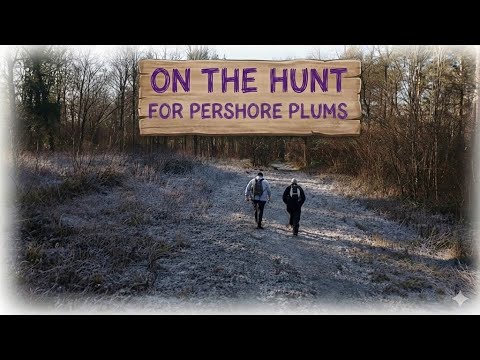 Stunning Worcestershire Walk | Pershore to Besford (Millennium Way)