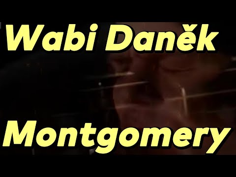 Wabi Daněk - Montgomery   Text