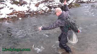 Two Trout  Hooked on One Cast Fly Fishing Lively Legz Nymphs