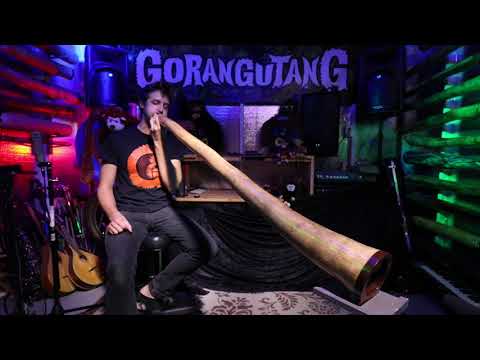 Agave Multidrone Didgeridoo in Eb - AG007