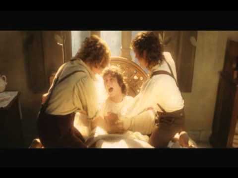 Lord Of The Rings Voice Over With Special Ending!