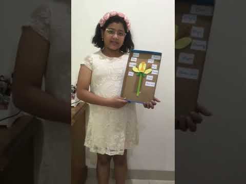 3-D model of a flower