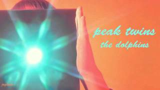Peak Twins- The Dolphins (2013)