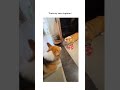 That S My New Ringtone Dog Doglover Foryou Lol Share Funny Laugh Memes Trending Viral
