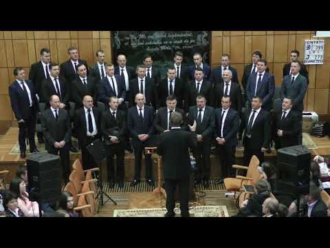 vino la apa de viata movie