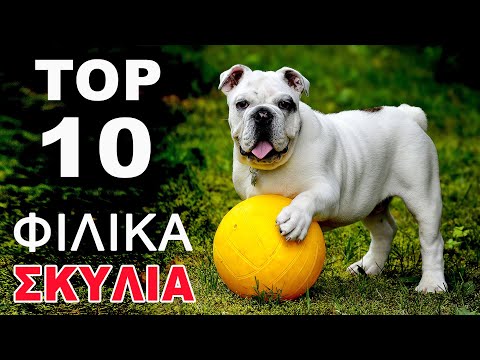 , title : 'ΤΑ 10 ΠΙΟ ΦΙΛΙΚΑ ΣΚΥΛΙΑ ΓΙΑ ΟΙΚΟΓΕΝΕΙΕΣ ΚΑΙ ΠΑΙΔΙΑ! Ράτσες σκύλων! Top 10 Gl Facts'