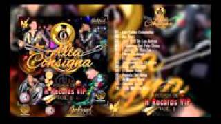 Alta consigna-ebrio de amor