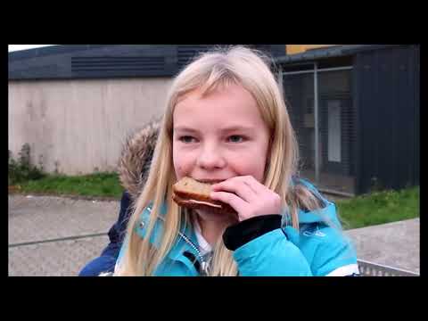 Konrad-Adenauer-Schule (Realschule) Treis-Karden| Knorrwerbung