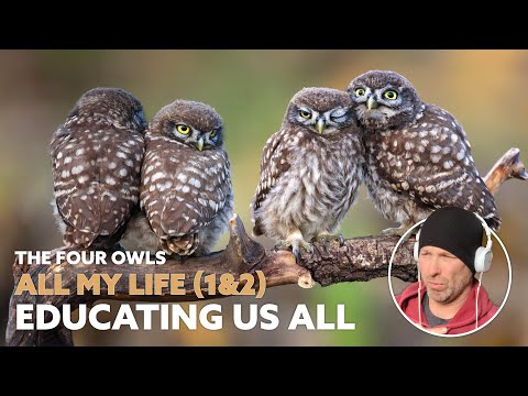Messages on top of messages - The Four Owls - All My Life - Parts 1 and 2 (Reaction)