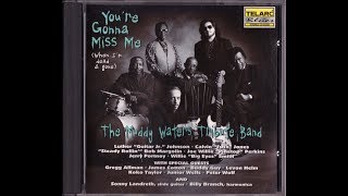 THE MUDDY WATERS TRIBUTE BAND - MESSIN&#39; WITH THE MAN (vo :  BOB MARGOLIN)