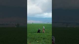 Download lagu For a thousand years ❤️ #love mp3 Download lagu For a thousand years ❤️ #love mp3