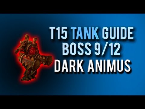 "Dark Animus" TANK Guide → Boss 9/12 in Throne of Thunder