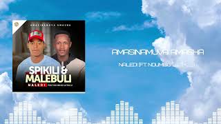 Download lagu Amasinamuva Amasha feat. Ndumiso Luthuli - Naledi (Visualizer) mp3
