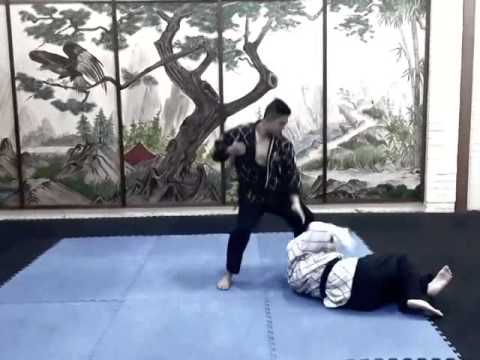 Kwan Nyom Hapkido — Throws