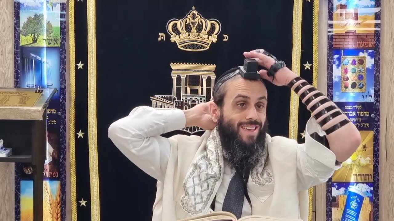תורה או מדינה? האמת שמבדילה בין טוב לרע הרב דורון הלל שליט"א