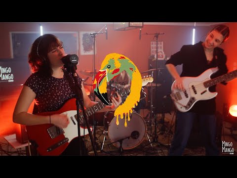 Slurp - Louise (Live) ⎜ Mingo Mango Sessions